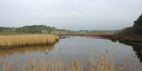 Etang berringue